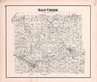 Salt Creek Township, Benton, Martinsville, Middletown, Holmes County 1875